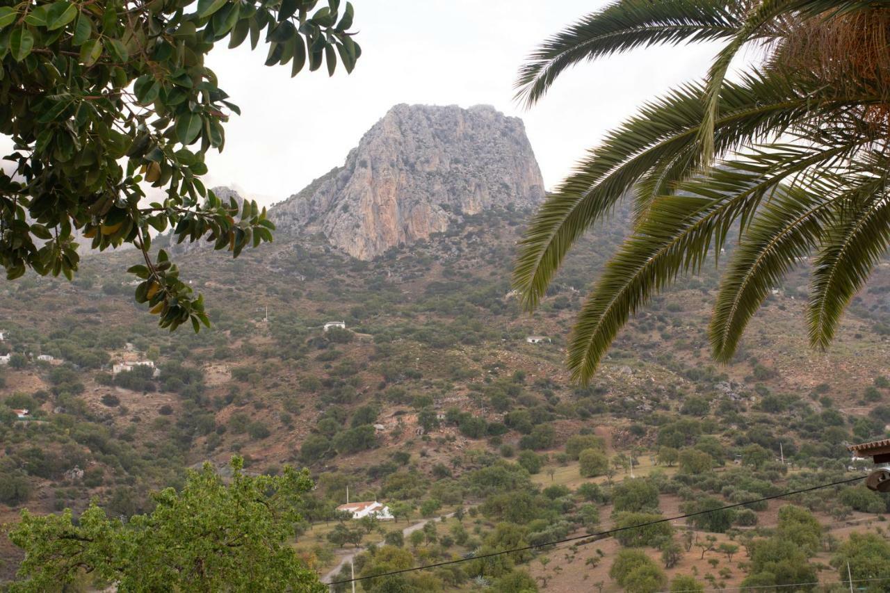 Lagar Del Chorro Junto Caminito Del Rey Piscina Y Baloncesto Apartment Luaran gambar
